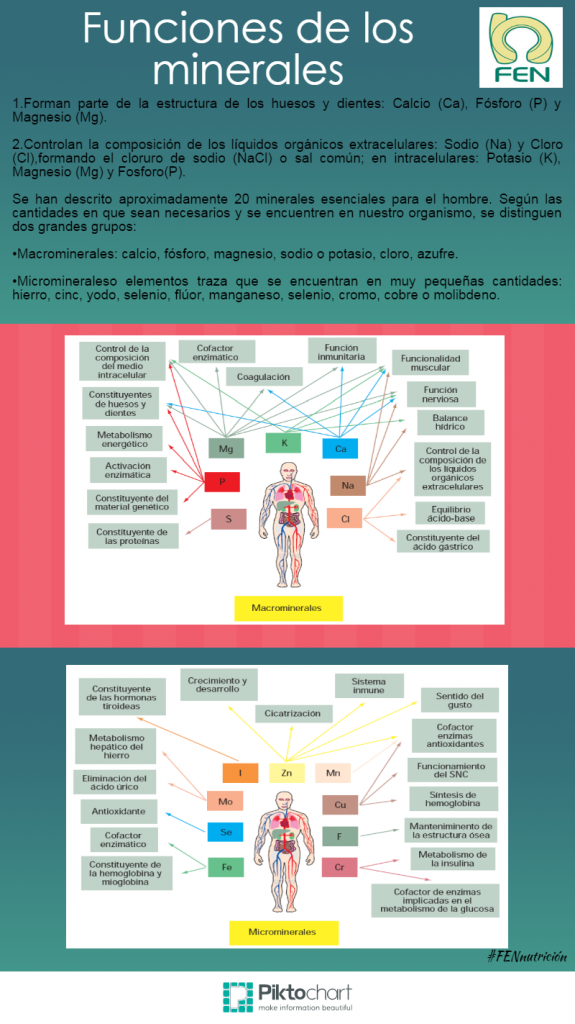 Untitled Infographic (9)