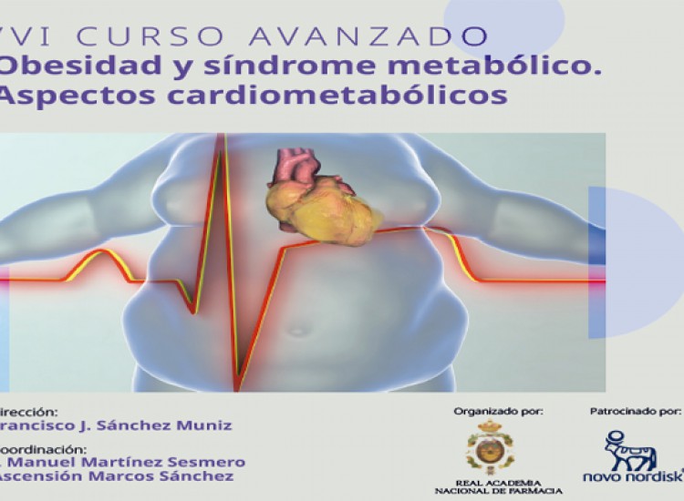 VI Curso avanzado sobre obesidad y síndrome metabólico. Aspectos cardiometabólicos
