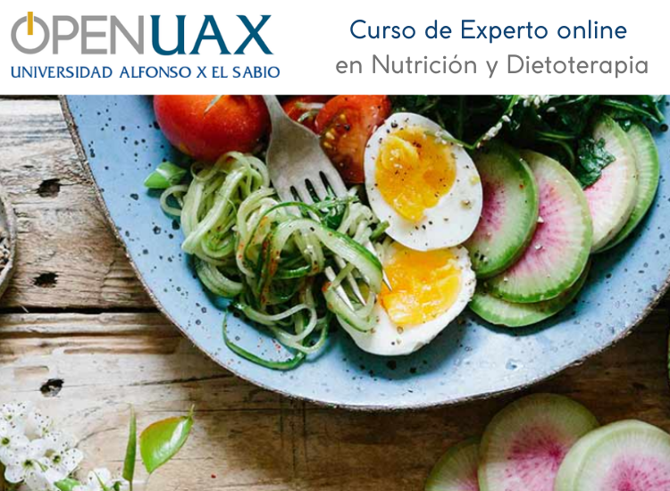 Curso de Experto online en Nutrición y Dietoterapia